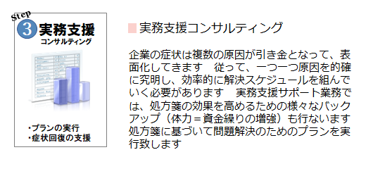 実務支援コンサルティング